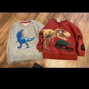 Toddler boy dino sweatshirts